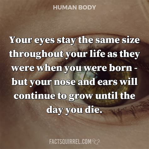 Are your eyes the same size your whole life?